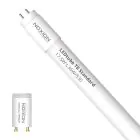 Noxion LED Tube T8 Avant (EM/Mains) Standard Output 17.5W 1800lm - 830 Warm White | 120cm - Replaces 36W