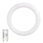 Noxion LED Tube T9 Avant Circular (EM/Direct) 20W 2200lm - 830 Warm White | 30cm - Replaces 32W